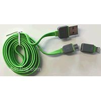 Earldom WZNB-21: 2 in 1 iPhone & Micro USB - Green