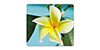 Fellowes 5913801: Yellow Flower Recycled Mousepad Fellowes 5913801: Yellow Flower Recycled Mousepad
