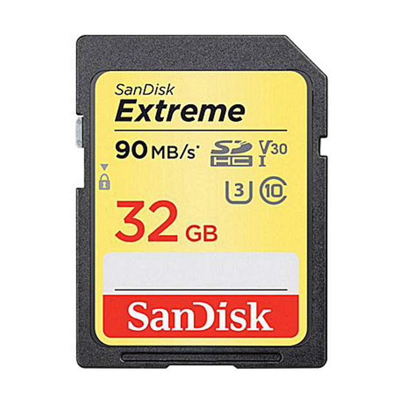 SanDisk SDSDXVE-032G-ANCIN Extreme SDHC Memory Card 32GB from Am-Dig