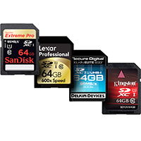 See what's in the SDHC Cards category.